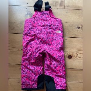 Northface Snowquest Insulated Bib